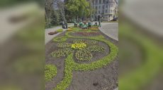 Яскраву клумбу створюють біля пам’ятника Шевченку в Харкові: що висаджують 📷