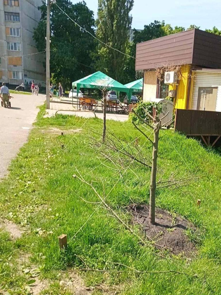 деревья повредили в Харькове