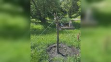 Неизвестный повредил деревья в Харькове: коммунальщики обратились к горожанам
