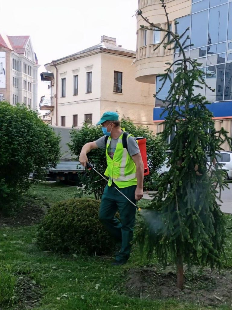 в Харькове борются с вредителями
