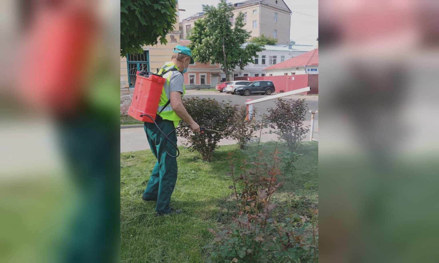 Борются с вредителями: безопасные ли препараты распыляют в Харькове (фото)