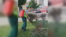 Борються зі шкідниками: чи безпечні препарати розпорошують у Харкові (фото)