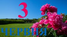 Сегодня 3 июня 2026: какой праздник и день в истории