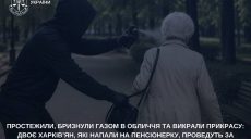 Напали на пенсионерку в Харькове: мужчин «посадили» на восемь лет