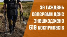 Больше 600 взрывоопасных предметов ликвидировали пиротехники за неделю