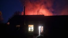 Сгорели редкие сорта инжира: в Харькове пылал научный институт (фото, видео)