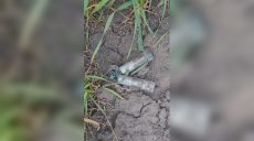 Какие «неизвестные подарки» находят ученые на Харьковщине (фото)