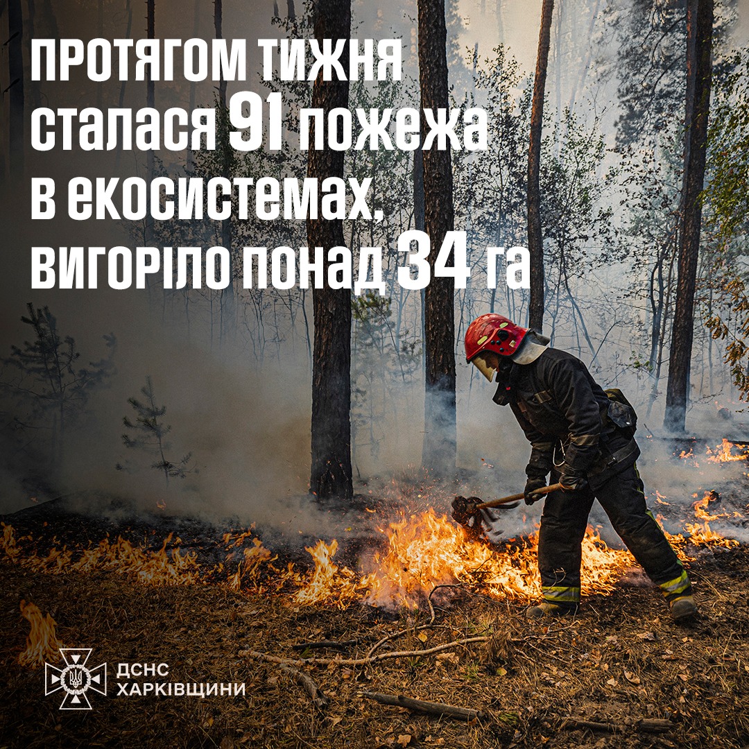Почти сотня пожаров бушевала в природных экосистемах Харьковщины – ГСЧС