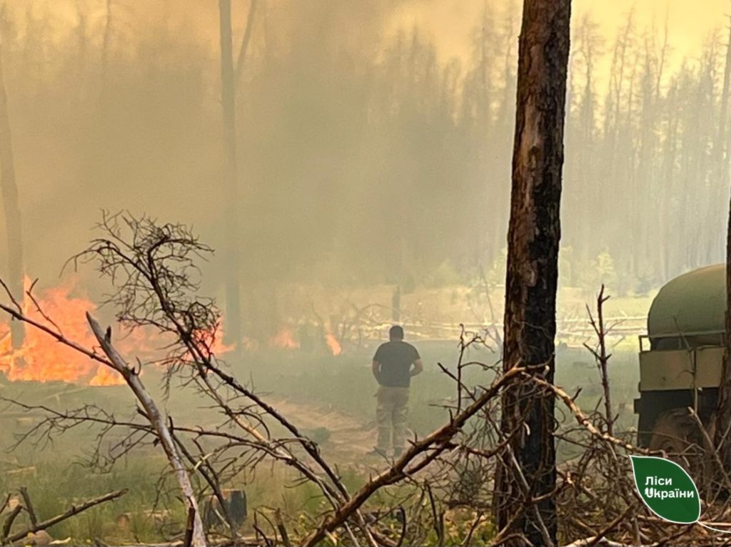 пожар в лесах на Харьковщине