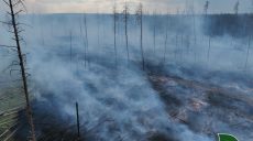 Горело более 20 га: большие пожары в лесах Харьковщины потушили (фото, видео)