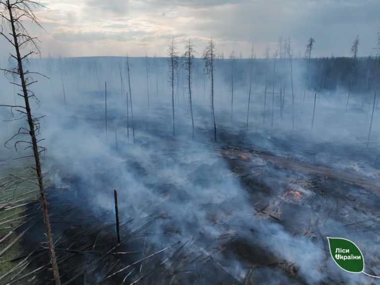 Горело более 20 га: большие пожары в лесах Харьковщины потушили (фото, видео)