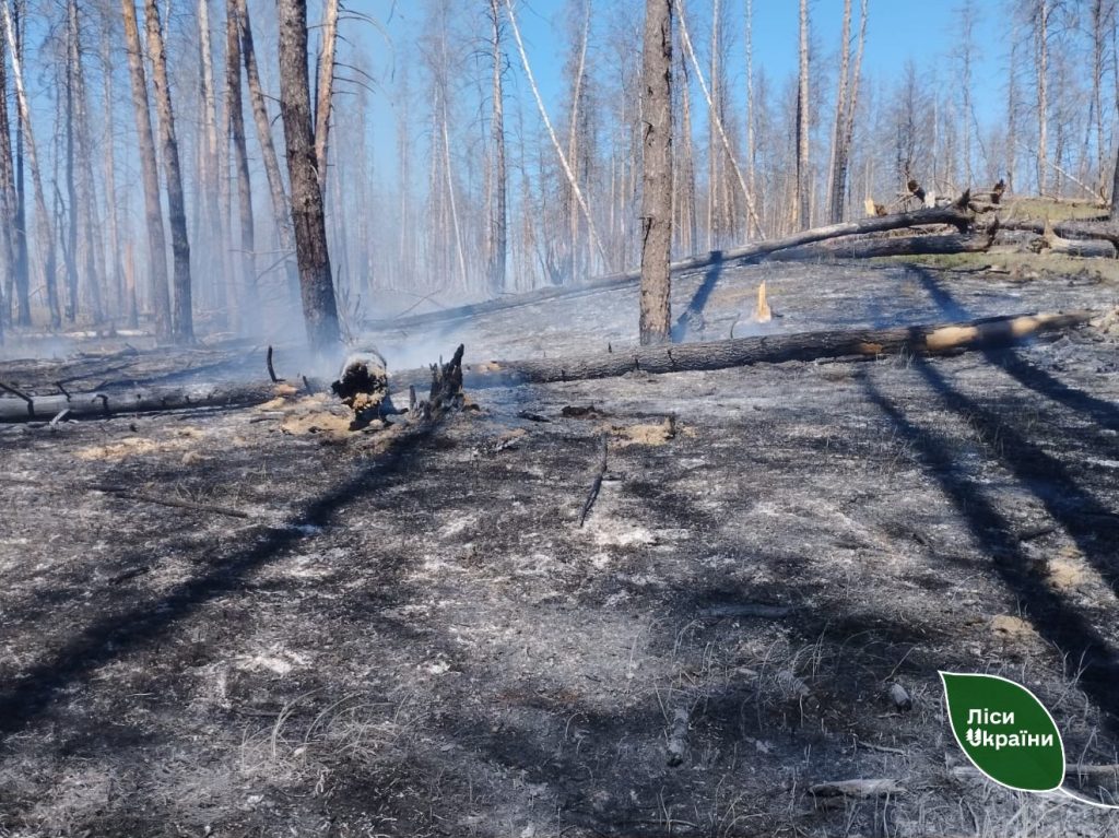 пожар в лесах на Харьковщине