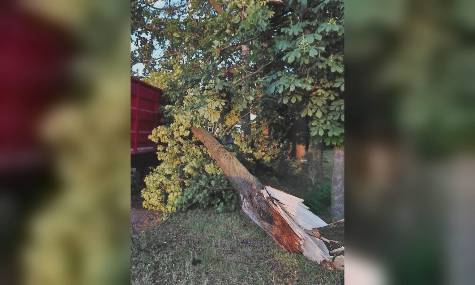 Що наробив сильний вітер у Харкові напередодні, показали комунальники (фото)