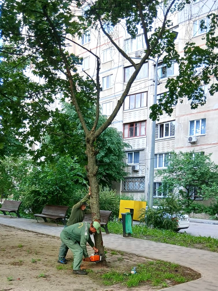 сильный ветер в Харькове