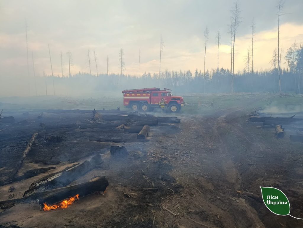 пожар в лесах на Харьковщине
