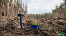 Высадку леса на Харьковщине приостановили — причины (фото)