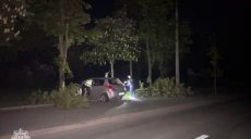 П’яний водій уночі врізався в дерево у Харкові – патрульна поліція