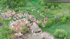 13 км от фронта: как выглядит поселок Белый Колодезь, показали воины (видео)
