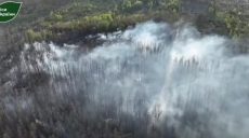 Лес загорелся на Харьковщине после атаки БпЛА: удалось спасти 5 тысяч га 📹