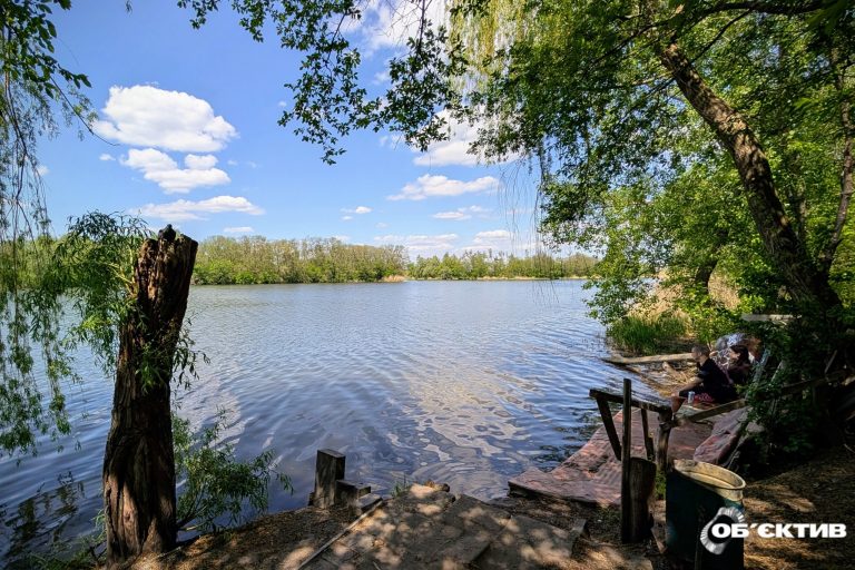 Запустити рибу до харківських річок пропонують мерії – петиція