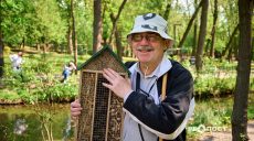 Готель для бджіл: чим корисний, скільки коштує і до чого тут врожай вишні