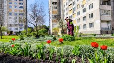 Нову велику клумбу облаштовують у Харкові: що там висадили (фото)