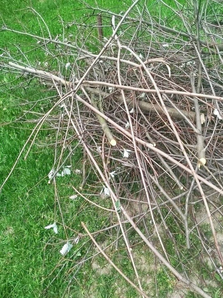 деревья повредили в Харькове