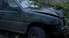 Свідків смертельної ДТП поліція шукає на Харківщині