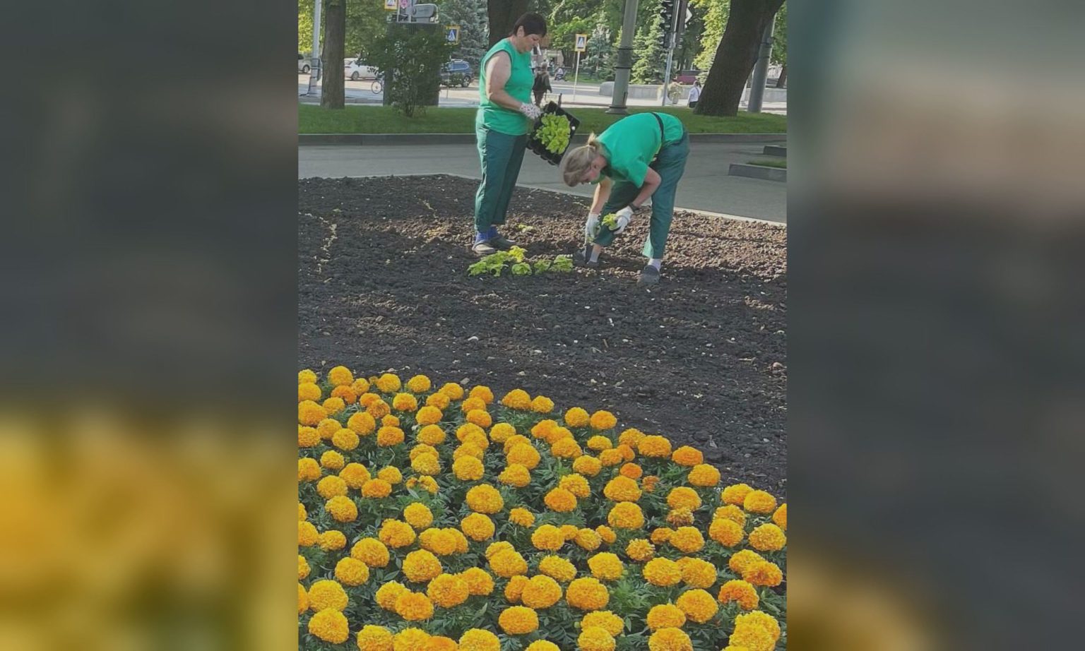 У саду Шевченка в Харкові облаштовують новий квітник (фото)