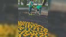 В саду Шевченко в Харькове создают новую клумбу (фото)