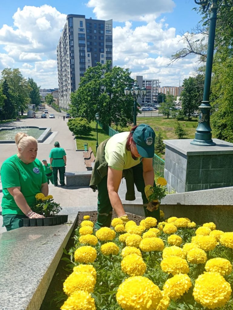 клумбы на Каскаде