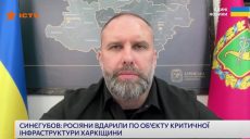 Антидроновые сетки, возможно, установят вглубь Харькова — Синегубов (видео)