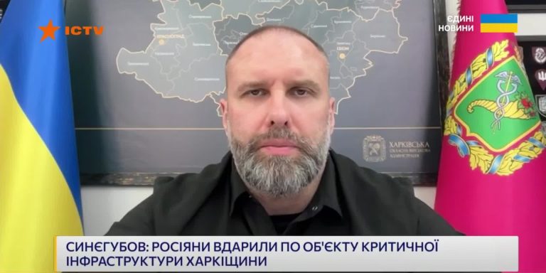 Антидроновые сетки, возможно, установят вглубь Харькова — Синегубов (видео)