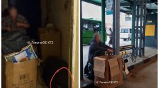 Заробіток на кістках: із квартири-смітника у Харкові врятували замучених собак