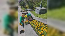 Какие цветы теперь украшают клумбы Каскада в Харькове (фото)