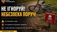 Женщина подорвалась на мине на Золочевщине