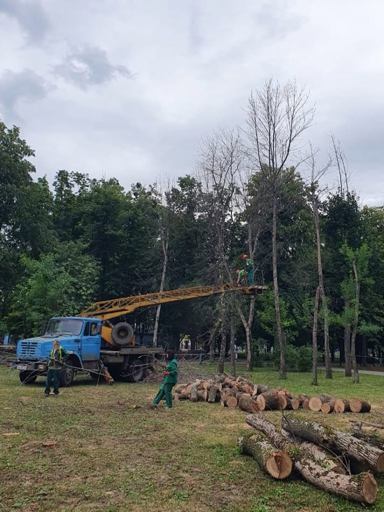 деревья пилят в Харькове