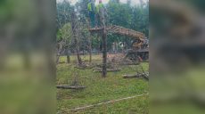 Понад 30 дерев спиляють на бульварі Юр’єва: навіщо (фото)