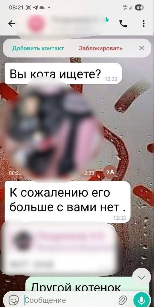 котенка пытали в Харькове