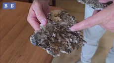 Опасные поделки сбрасывают БпЛА на Харьковщину (видео)