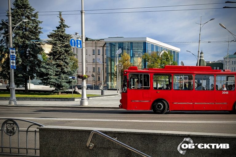 Завтра у Харкові обрізатимуть дерева: частково не ходитиме транспорт