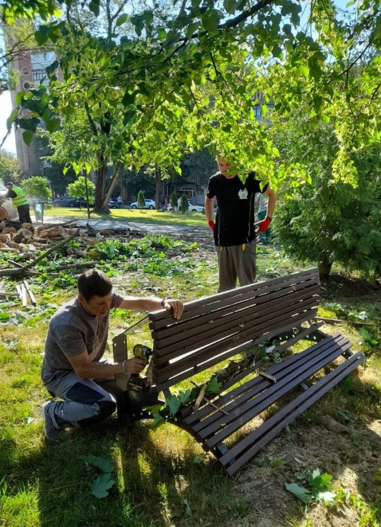 дерево упало в парке
