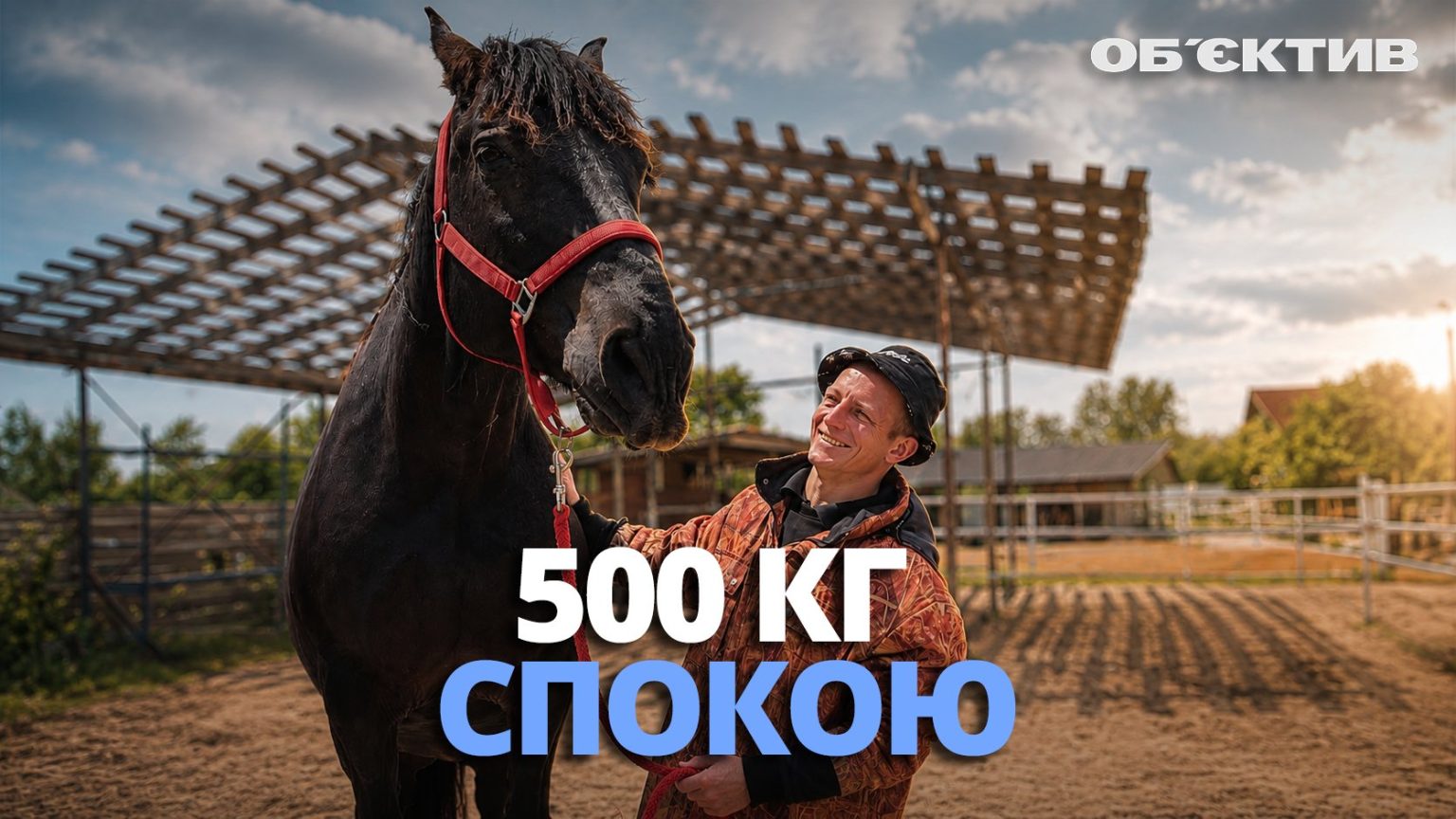 Живые сканеры эмоций: как «500 кг спокойствия» лечат души под Харьковом 📹