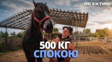 Живые сканеры эмоций: как «500 кг спокойствия» лечат души под Харьковом 📹