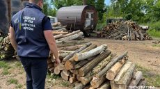 На 320 тыс. грн. уничтожили деревья на Харьковщине – и получили подозрение
