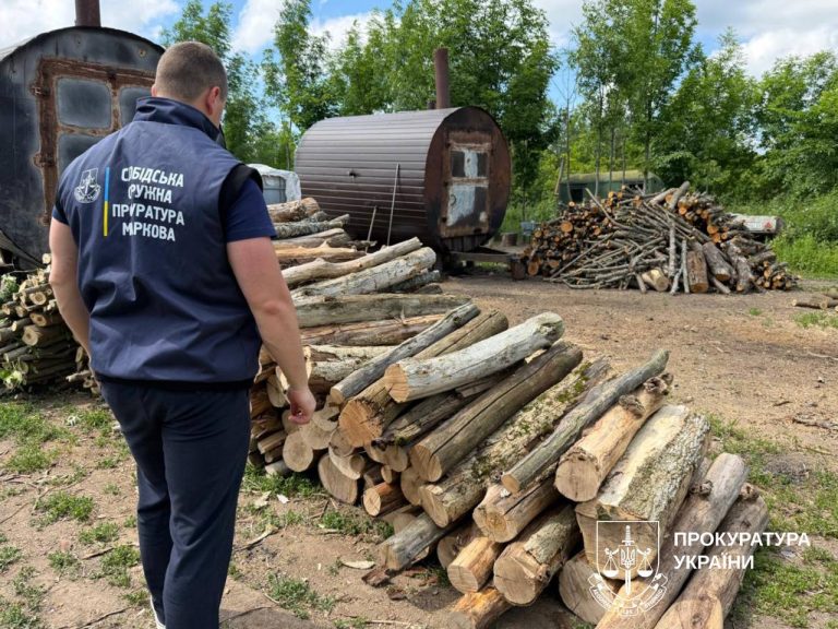 На 320 тыс. грн. уничтожили деревья на Харьковщине – и получили подозрение