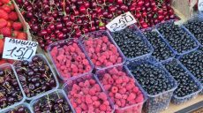 Рынки Харькова заполонили сезонные ягоды: сколько стоят и как изменились цены