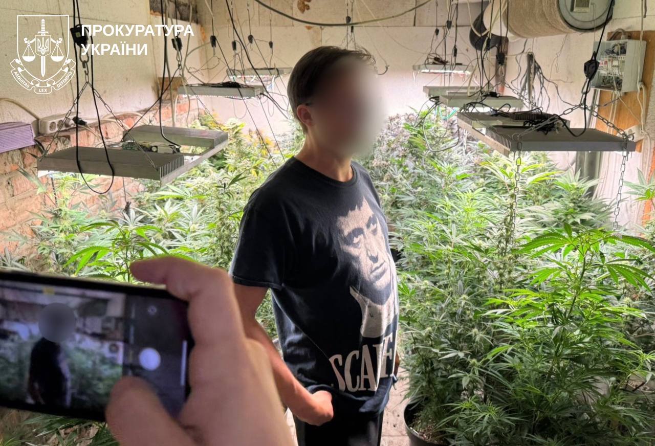 выращивал коноплю в промышленных масштабах