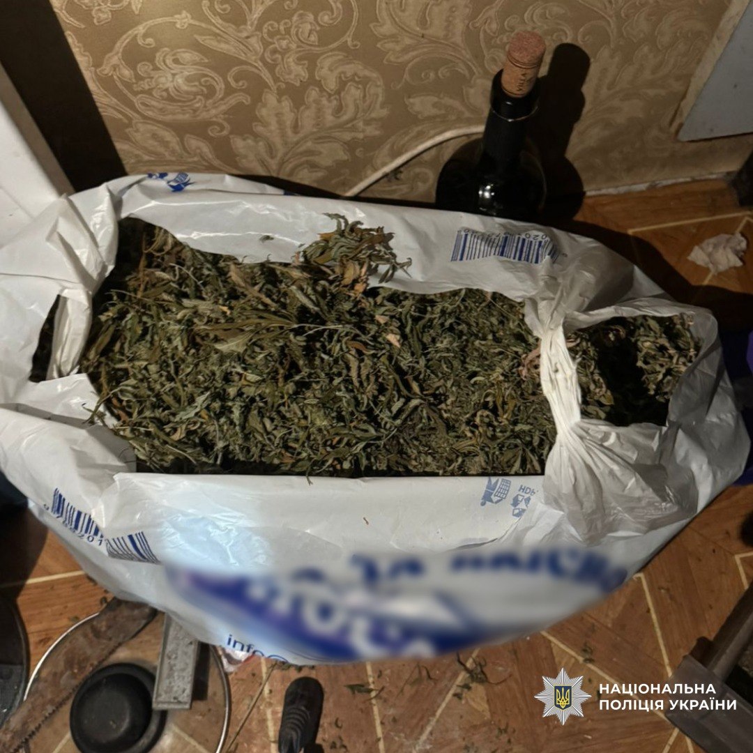 плантацию конопли обнаружили в Высоком на Харьковщине 8