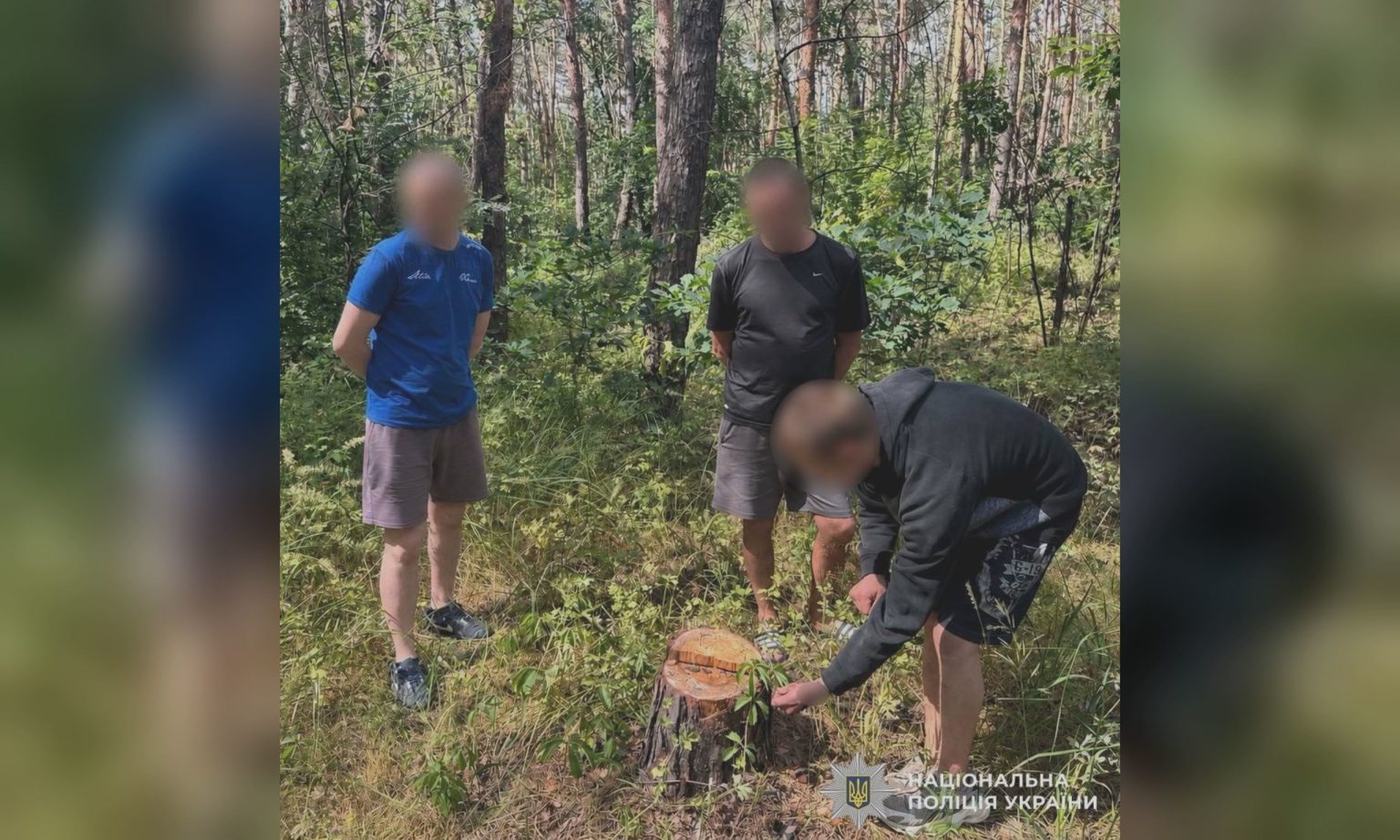 Задержали в лесу: молодому парню на Харьковщине грозит тюремный срок